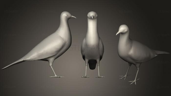 Статуэтки животных Пятнистый голубь